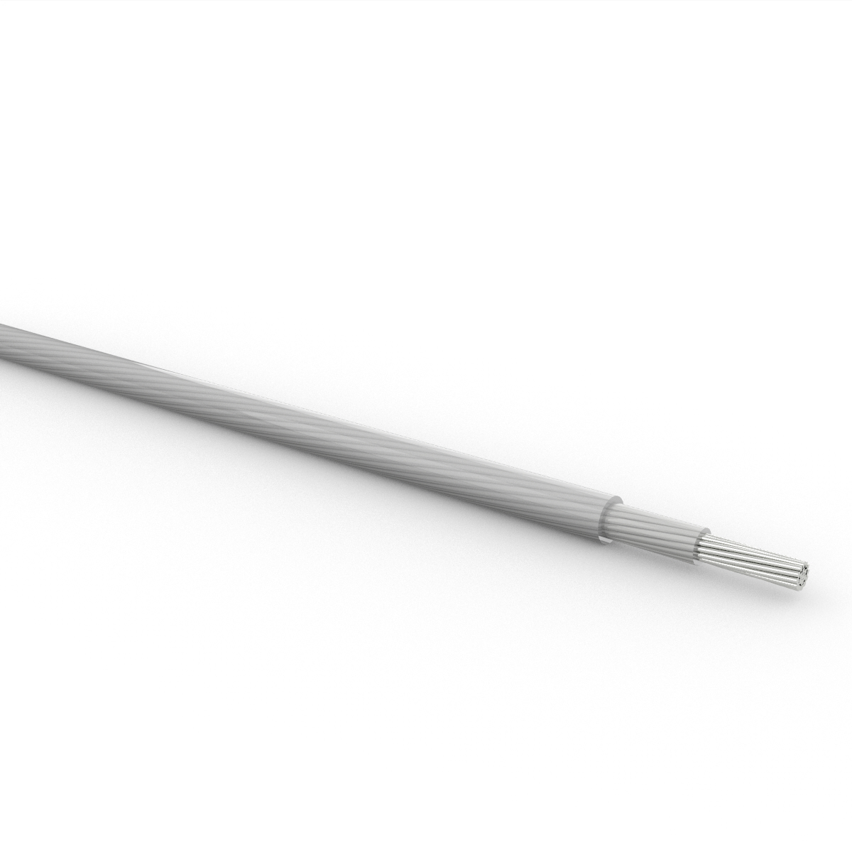 CS00008